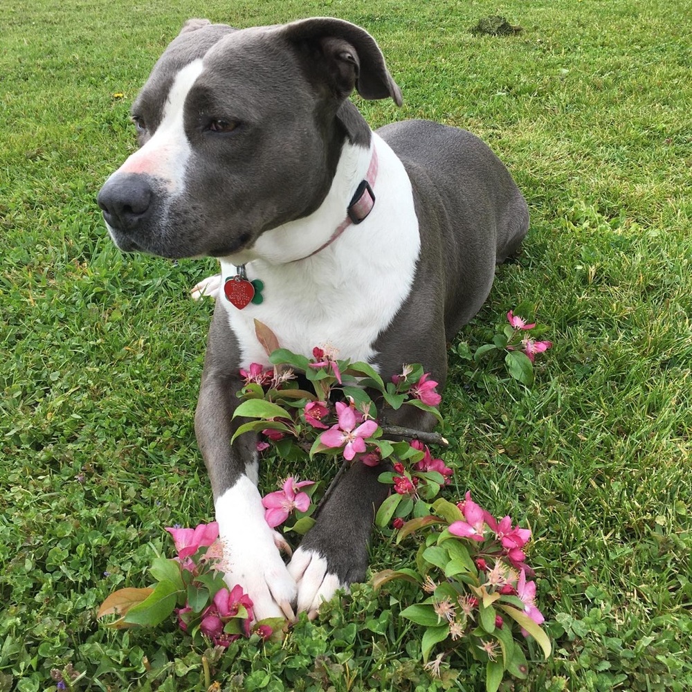 Meet your Posher, Grace